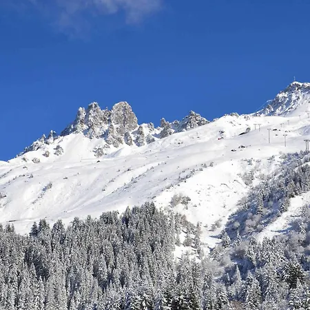 Apartment 2* Meribel, Sud, Skis Aux Pieds, Animaux Acceptes - Fr-1-182-98 Meribel