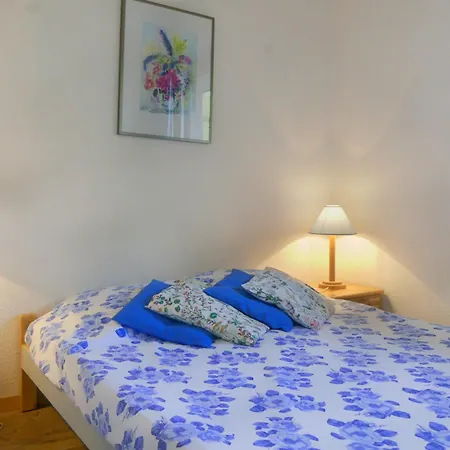 Apartment 2* Meribel, Sud, Skis Aux Pieds, Animaux Acceptes - Fr-1-182-98 *